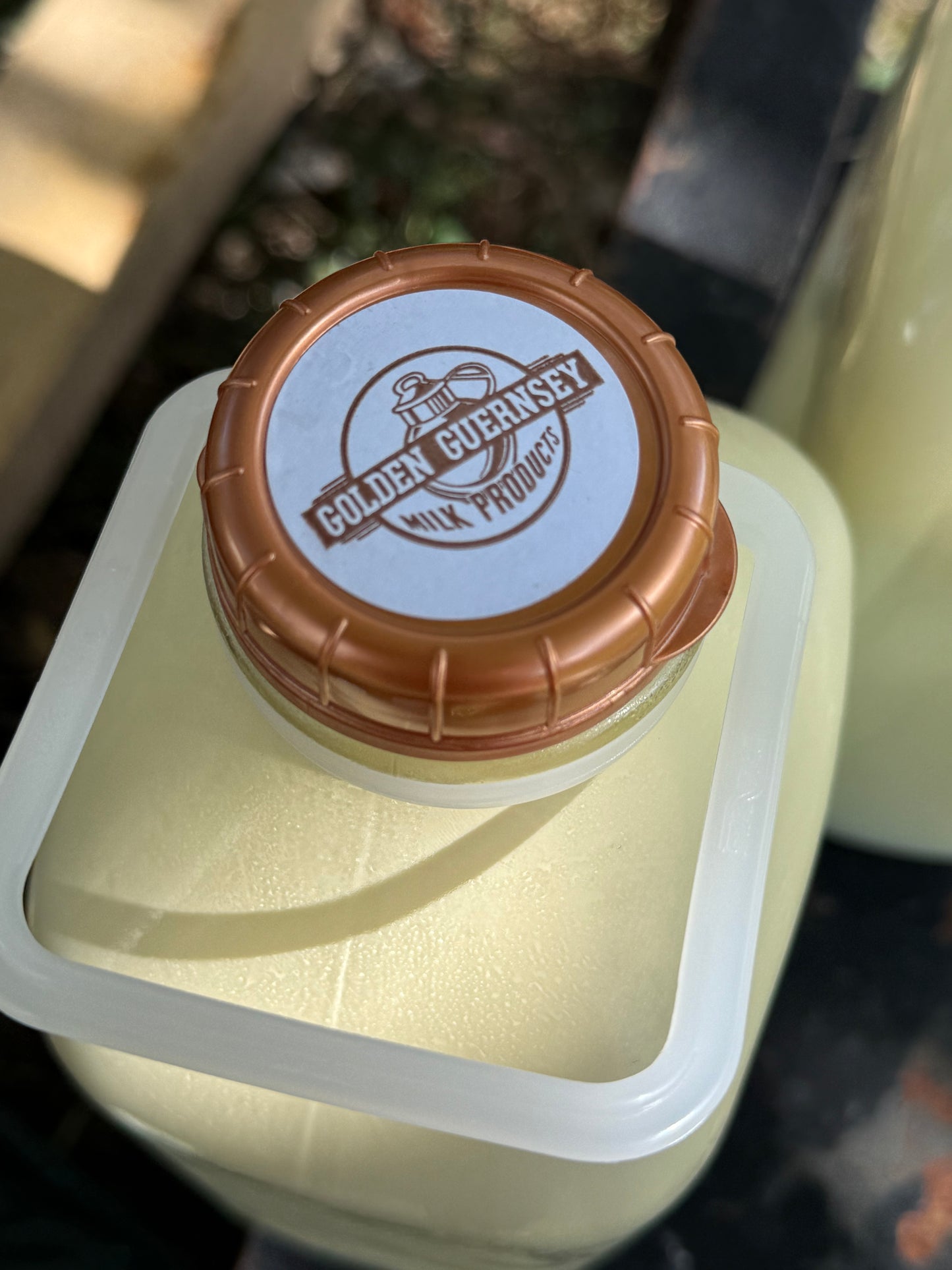 Raw Guernsey Milk in Nostalgic GLASS