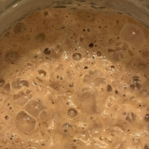 DARK RYE 28 YEAR OLD SOURDOUGH STARTER