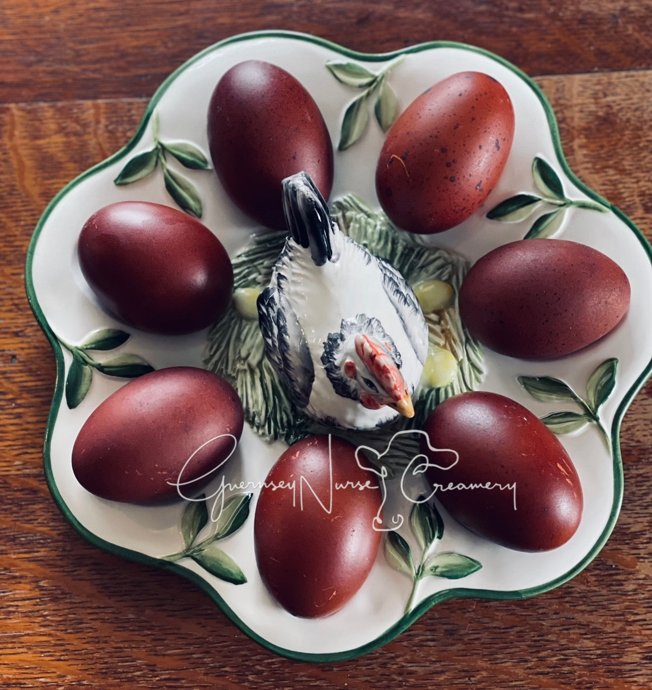 BLACK COPPER MARANS CHICKS