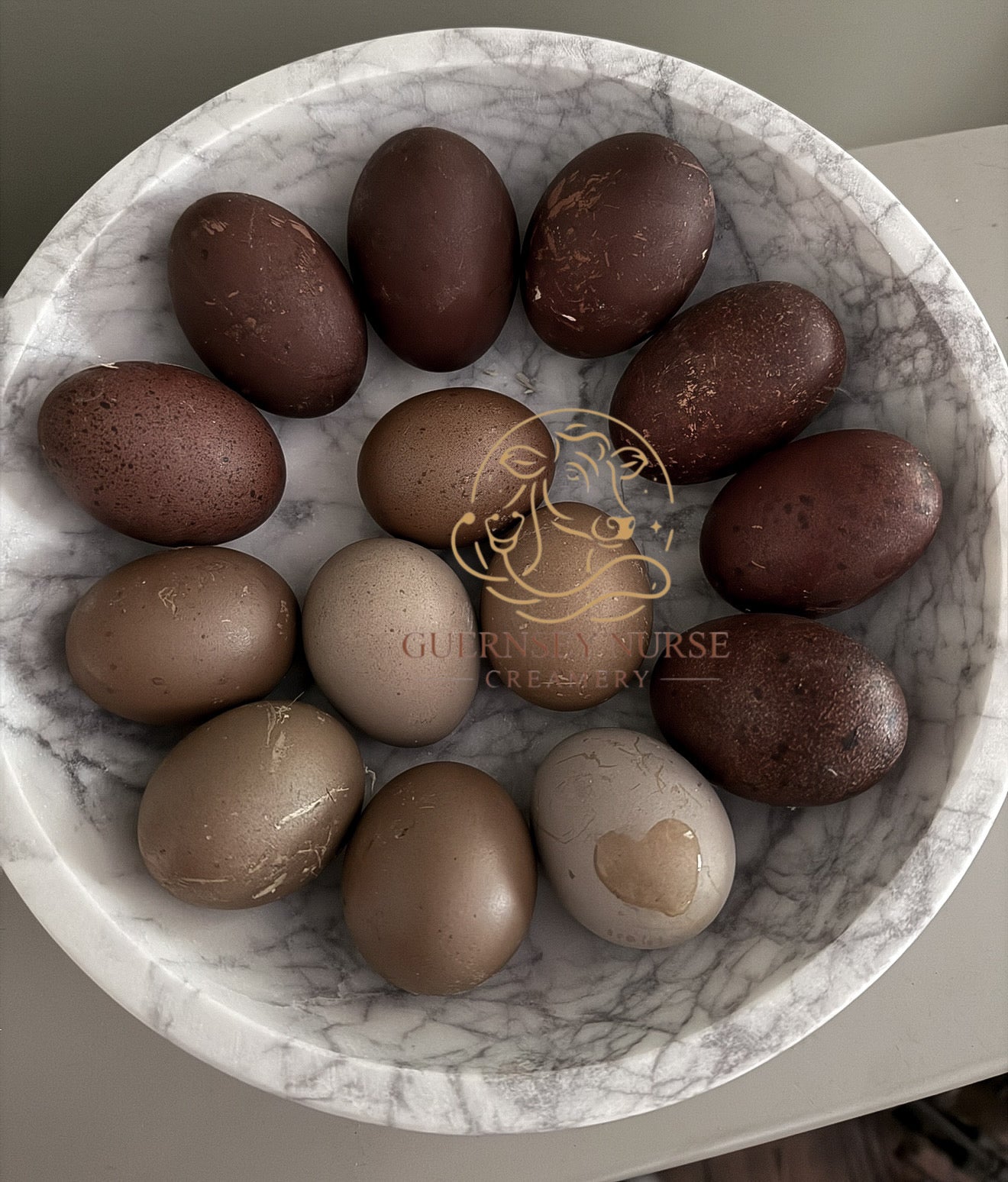 BLACK COPPER MARANS CHICKS