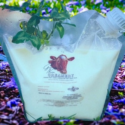 2 HALF GALLON-BAGGED RAW GUERNSEY MILK