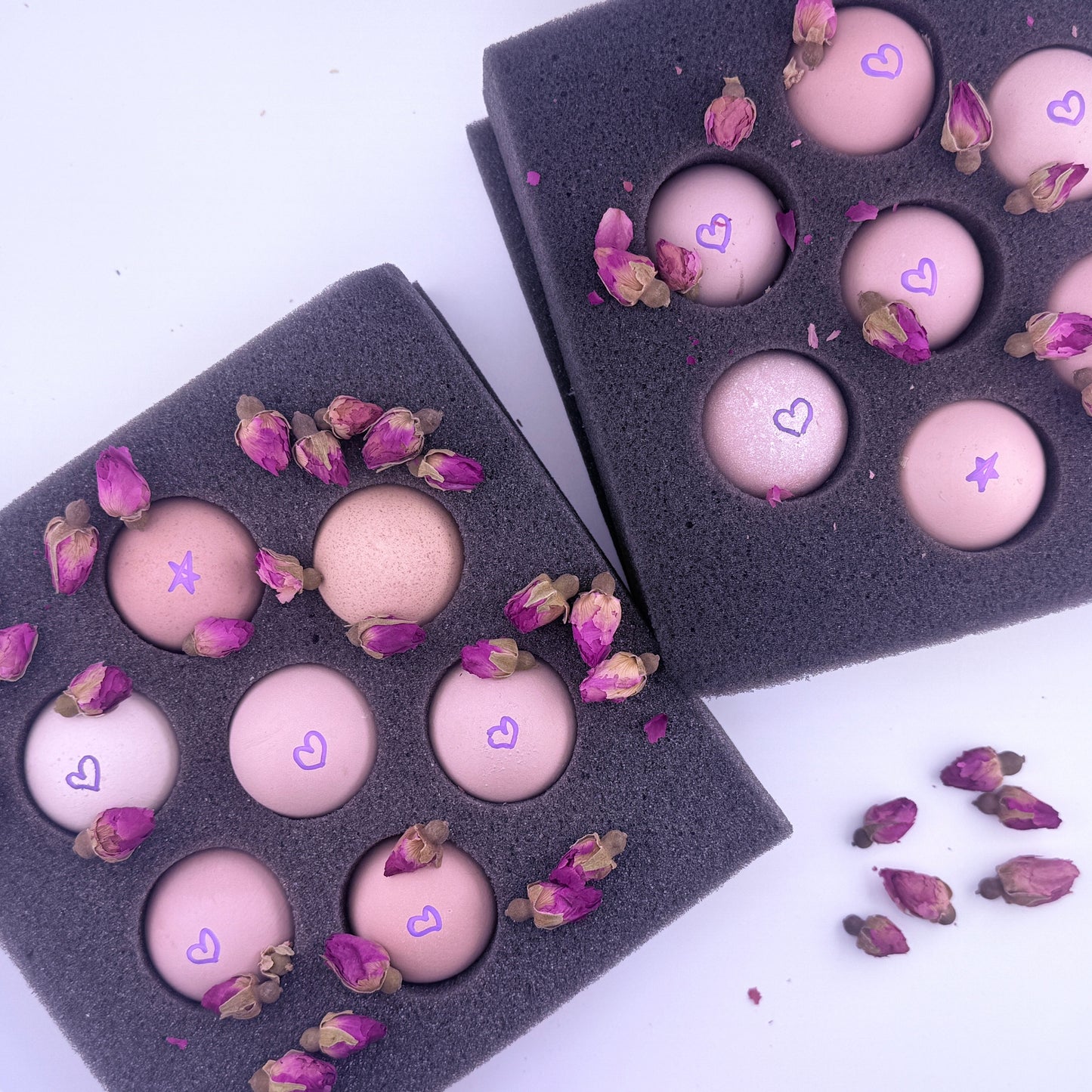 CROAD LANGSHAN HATCHING EGGS