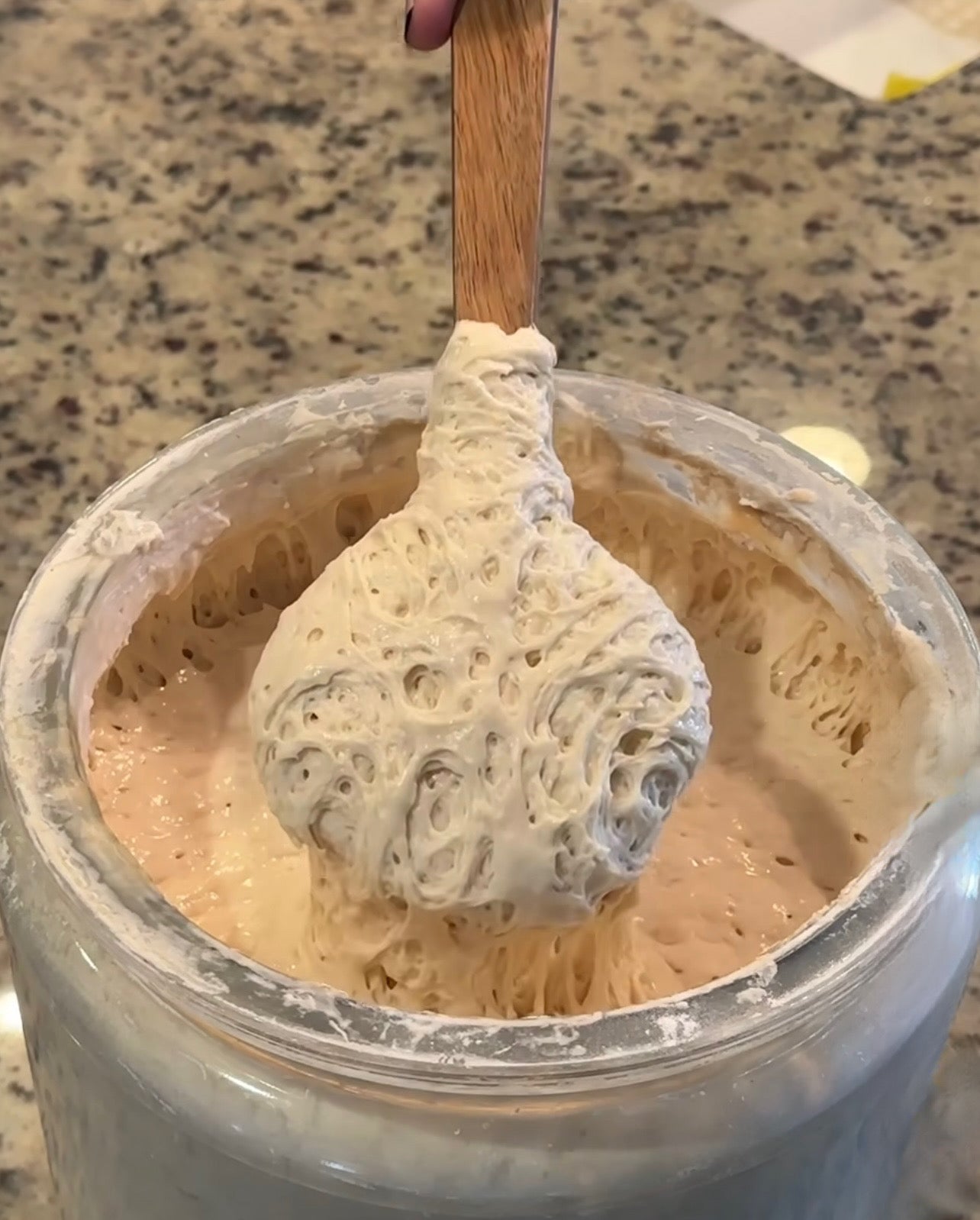 AMISH (WEAVER FAMILY) HEIRLOOM (200+ YEAR OLD) SOURDOUGH STARTER