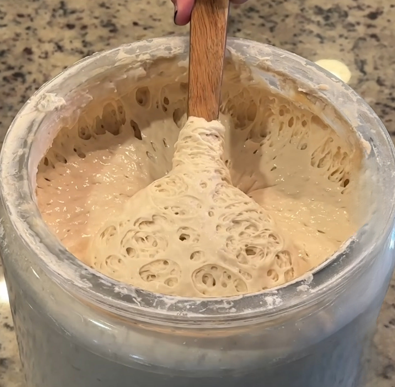 AMISH (WEAVER FAMILY) HEIRLOOM (200+ YEAR OLD) SOURDOUGH STARTER