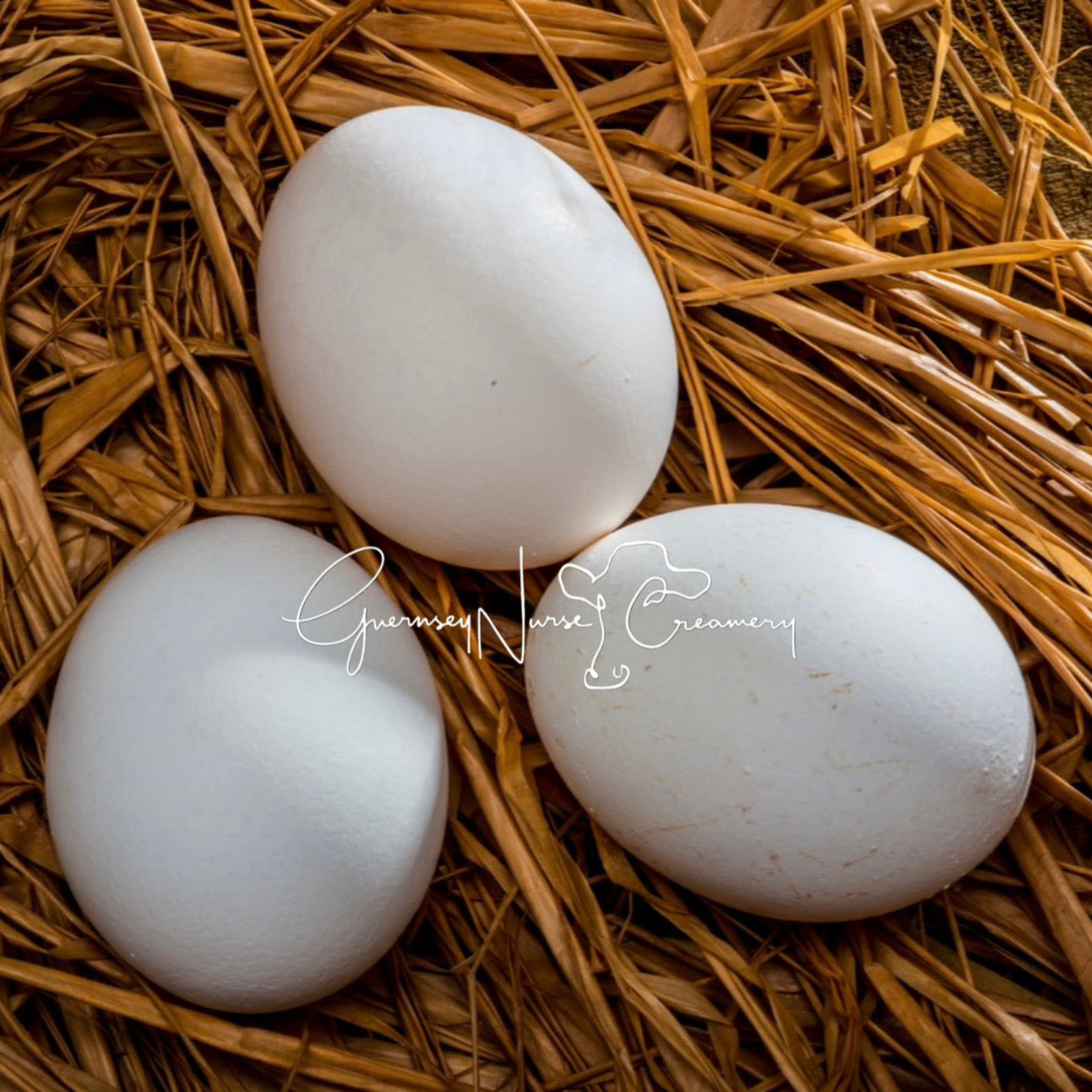 55 FLOWERY HEN HATCHING EGGS