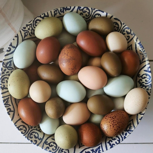 HAND GATHERED EGGS FROM HAPPY HENS